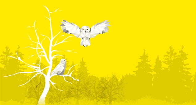 Permanent Lifting Magnet Collections