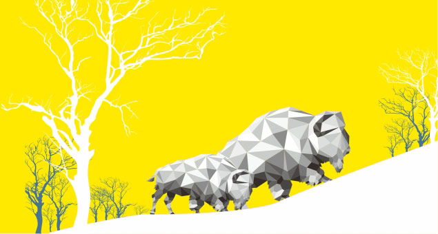 Customized Permanent Electromagnetic Chucks EEPM Series