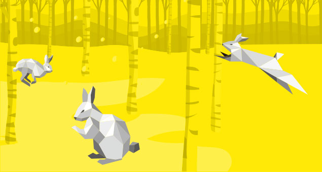 Option Accessories for EEPM chucks